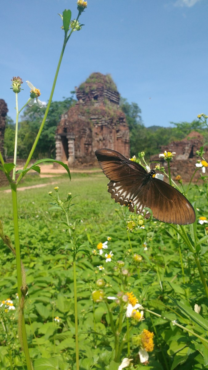 IMG_20170512_091918450